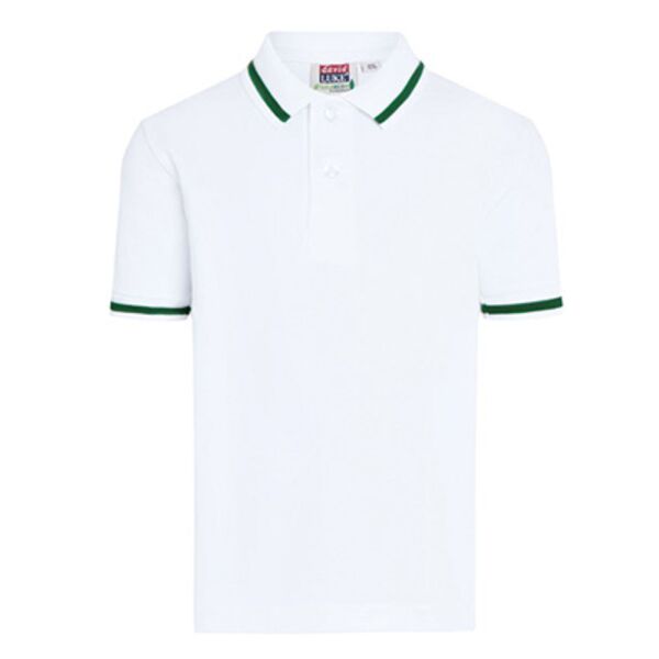 451 - Eco Stripe Trim Pique Polo (Seniors) Thumbnail